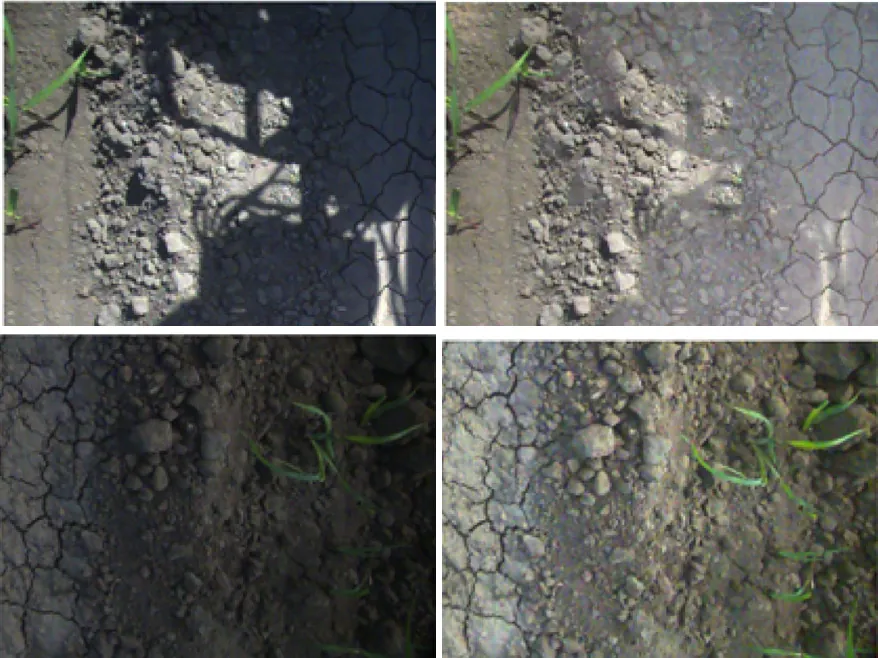A field photo with a strong machine shadow, and the same photo with the shadow removed