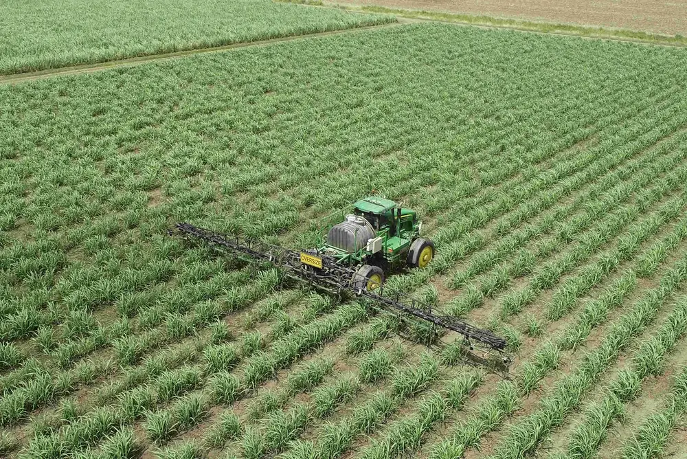 Aerial view of the robotic spot-spraying trial in a sugarcane field